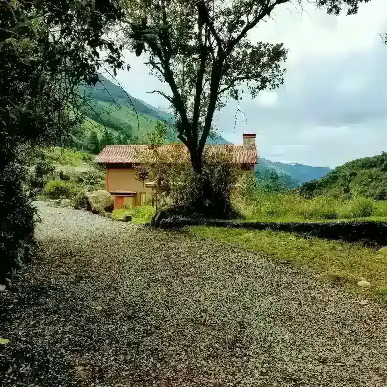 Back of House