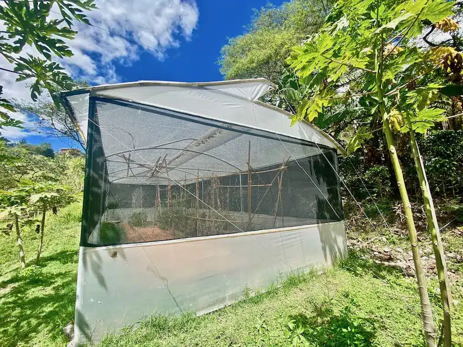 Greenhouse 3