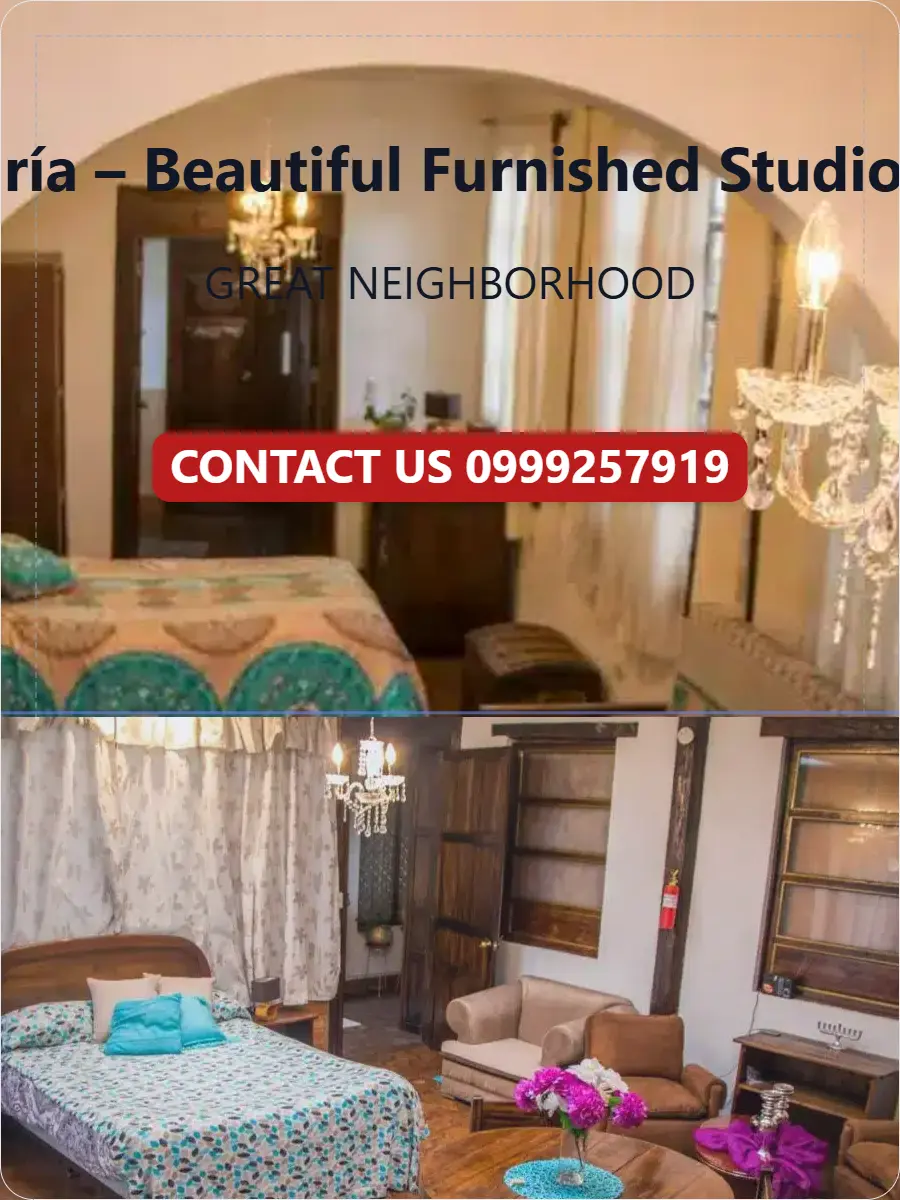 QUINTA MARIA BEAUTIFUL FURNISHED STUDIES FOR RENT